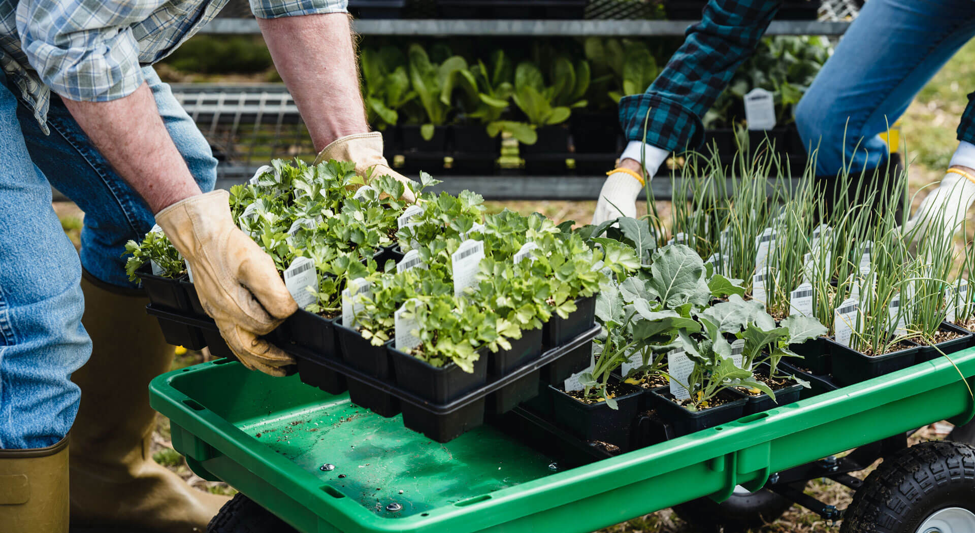 Umweltfreundliche Lösungen für Ihren Garten